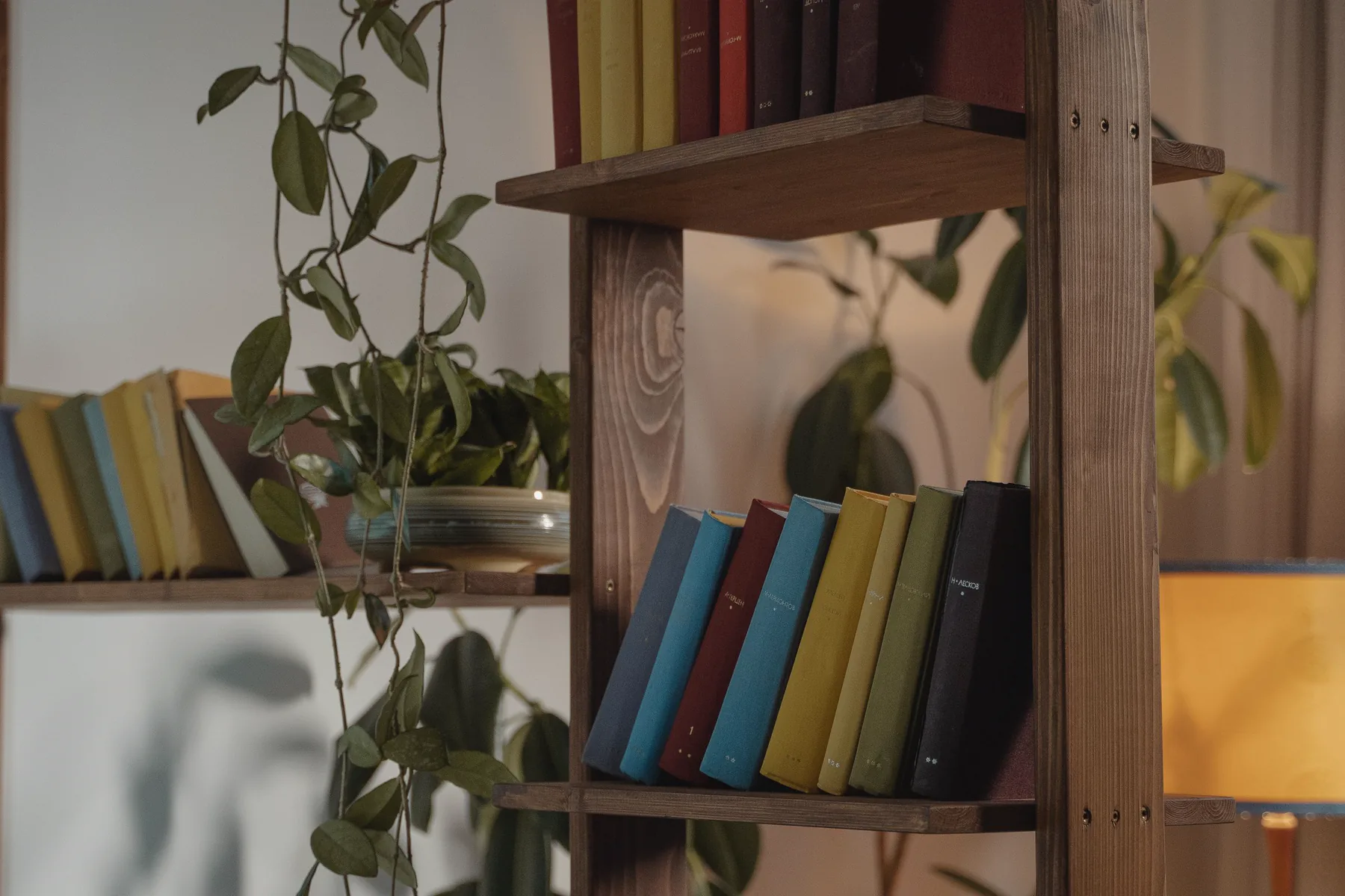 Wooden bookcase with visible shelf boards, books, and repeated support holes